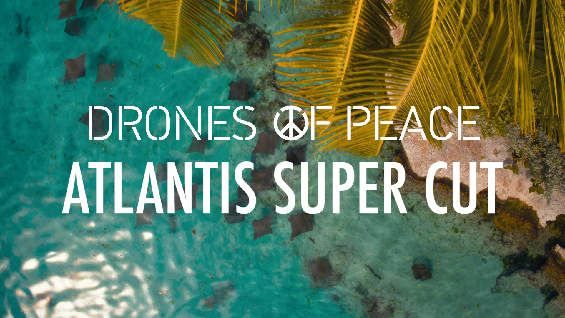 Atlantis thumb 169.jpg