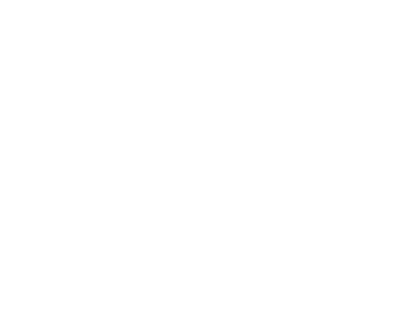 Vice